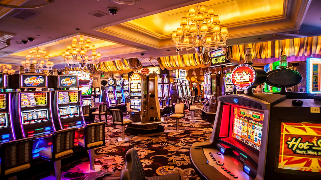 Wildz Casino gaming environment